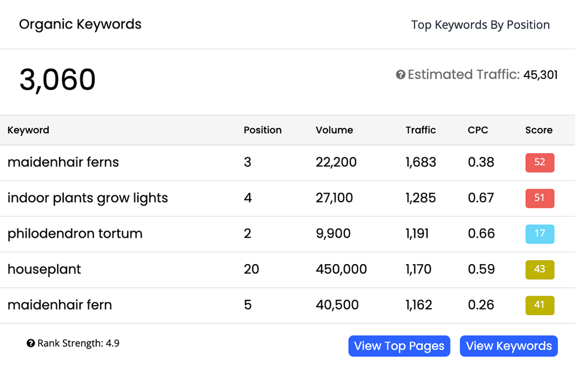 Competitor Keywords